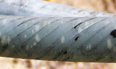 Water Treeing Cables